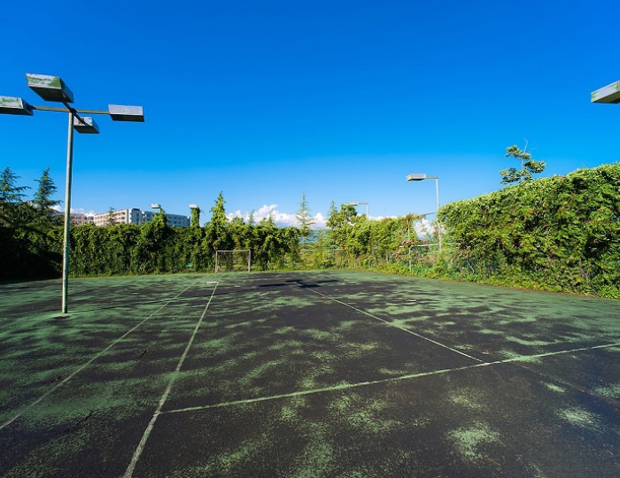 Футбольное поле - Санаторий «Самшитовая роща»