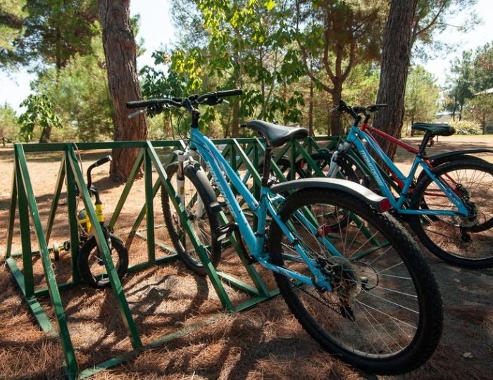 Прокат инвентаря - Санаторий «Самшитовая роща»