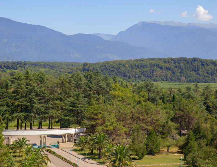 Внешний вид и территория - Санаторий «Самшитовая роща»